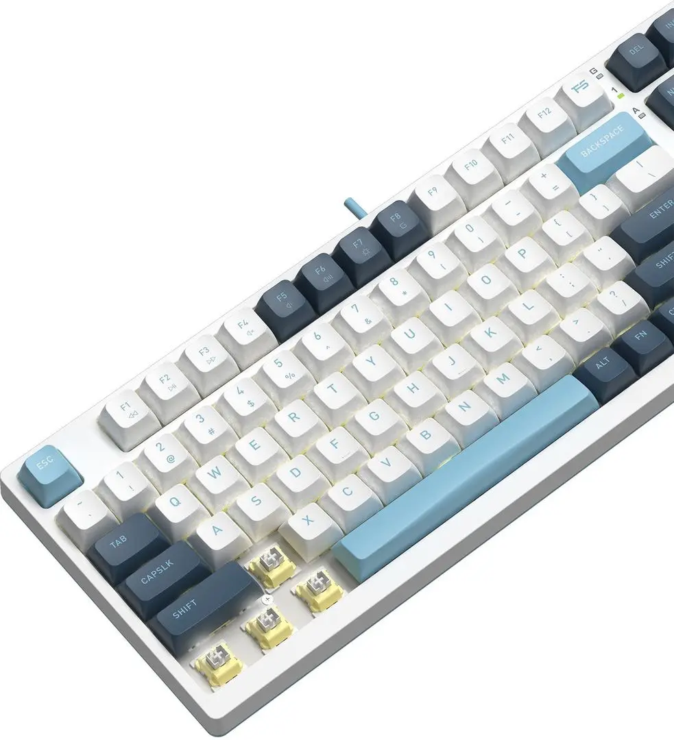 Tastatura A4Tech FS300 (Panda Snowboarding)