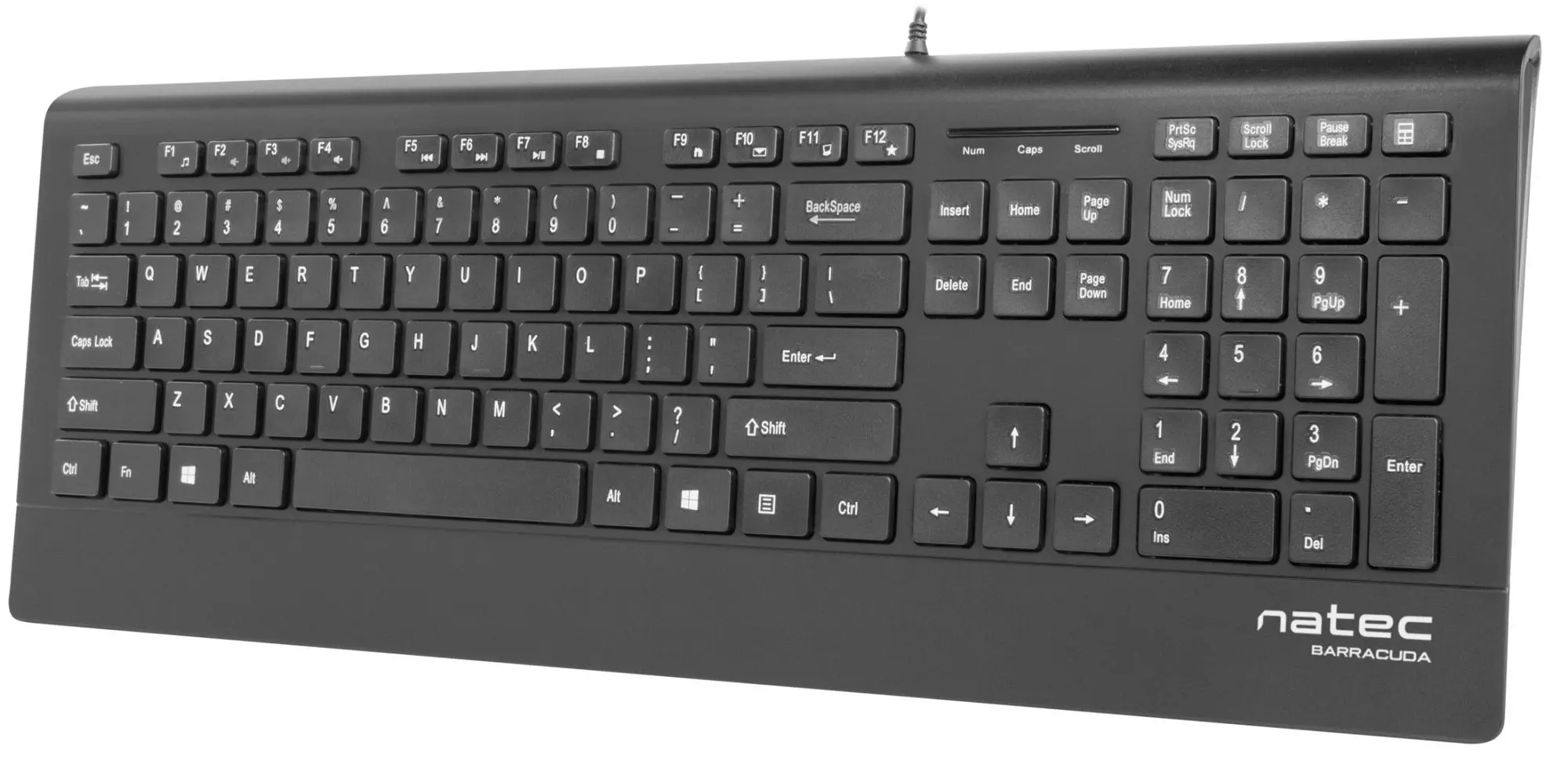 Tastatura Natec Barracuda Slim (Black)