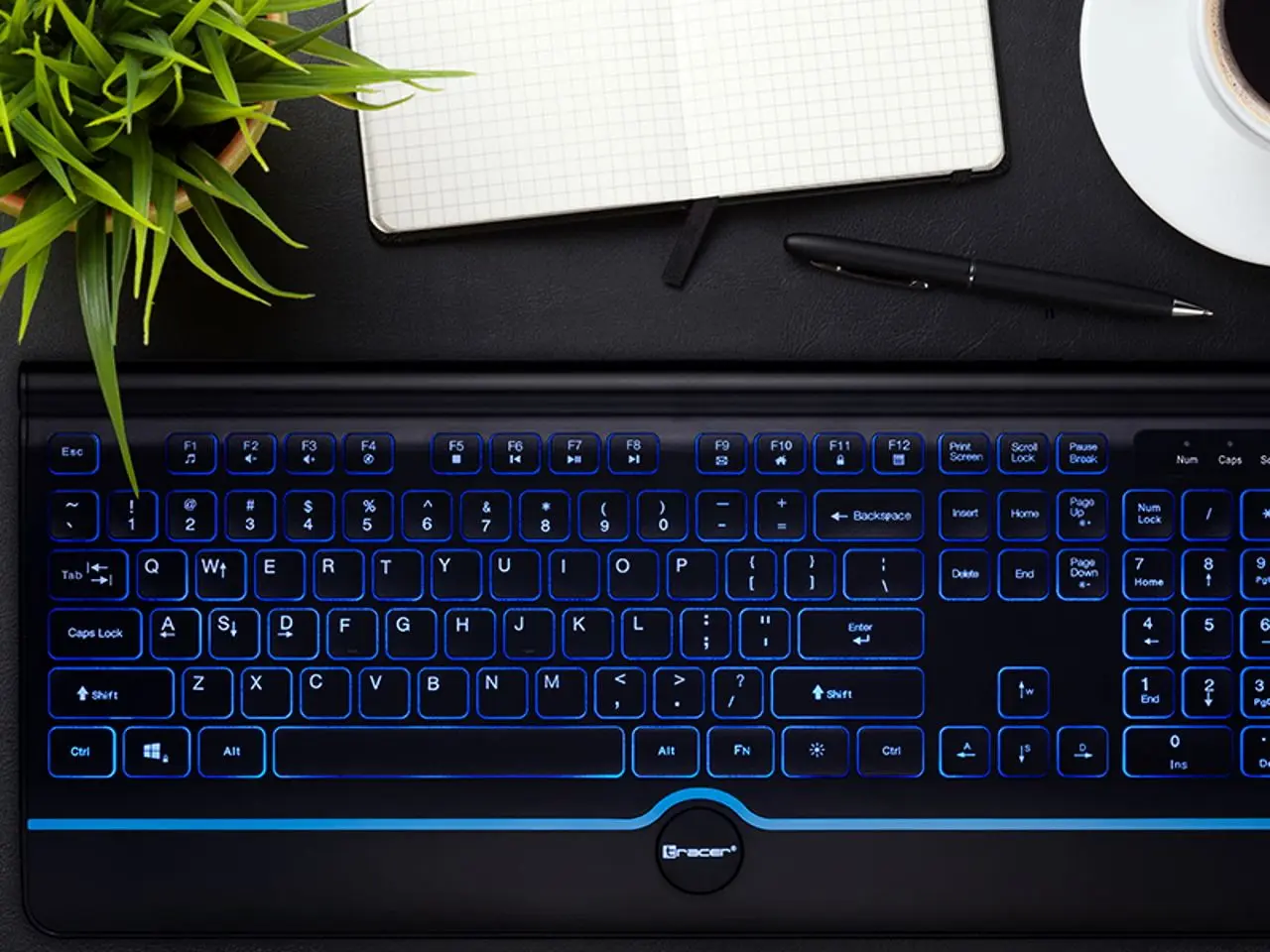 Tastatura Tracer Office Pro TRAKLA46473 (Black)