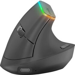 Mouse fara fir Speedlink Fin (Black)