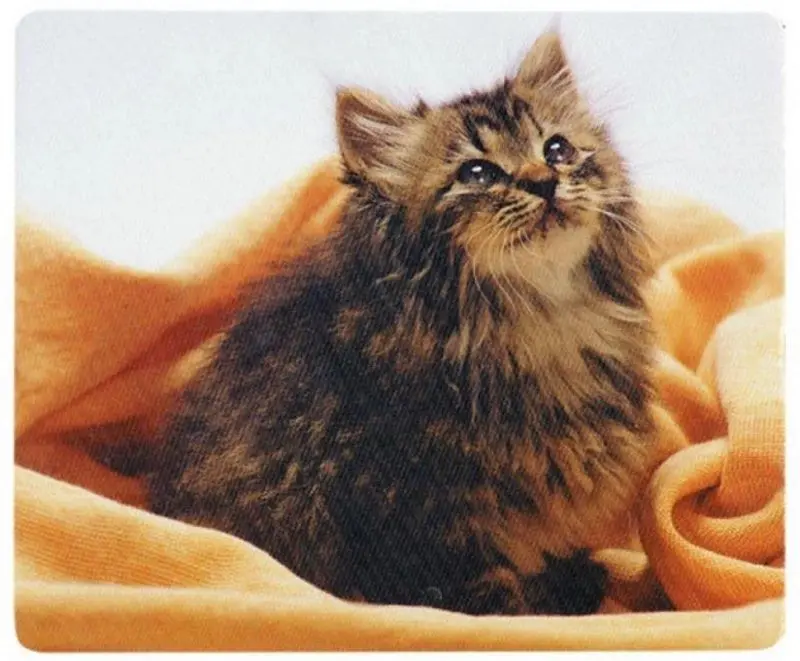 Covoras pentru mouse Defender Silk