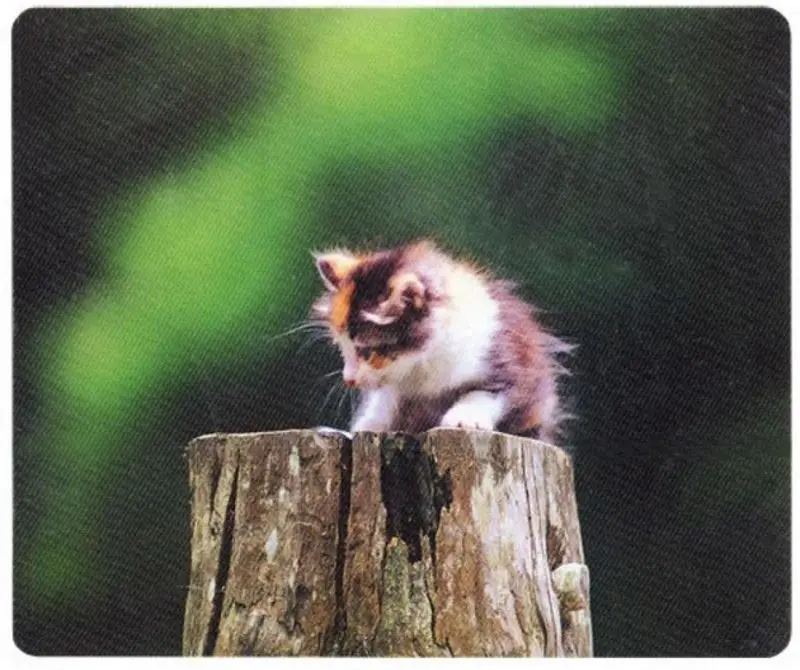 Covoras pentru mouse Defender Silk