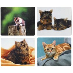 Covoras pentru mouse Defender Silk