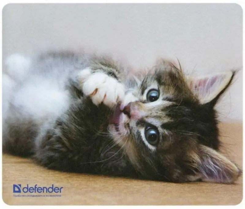 Covoras pentru mouse Defender Silk