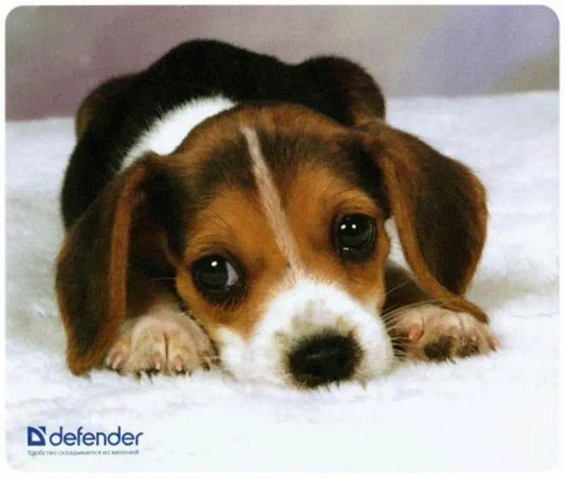 Covoras pentru mouse Defender Silk