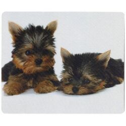 Covoras pentru mouse Defender Silk Thumb