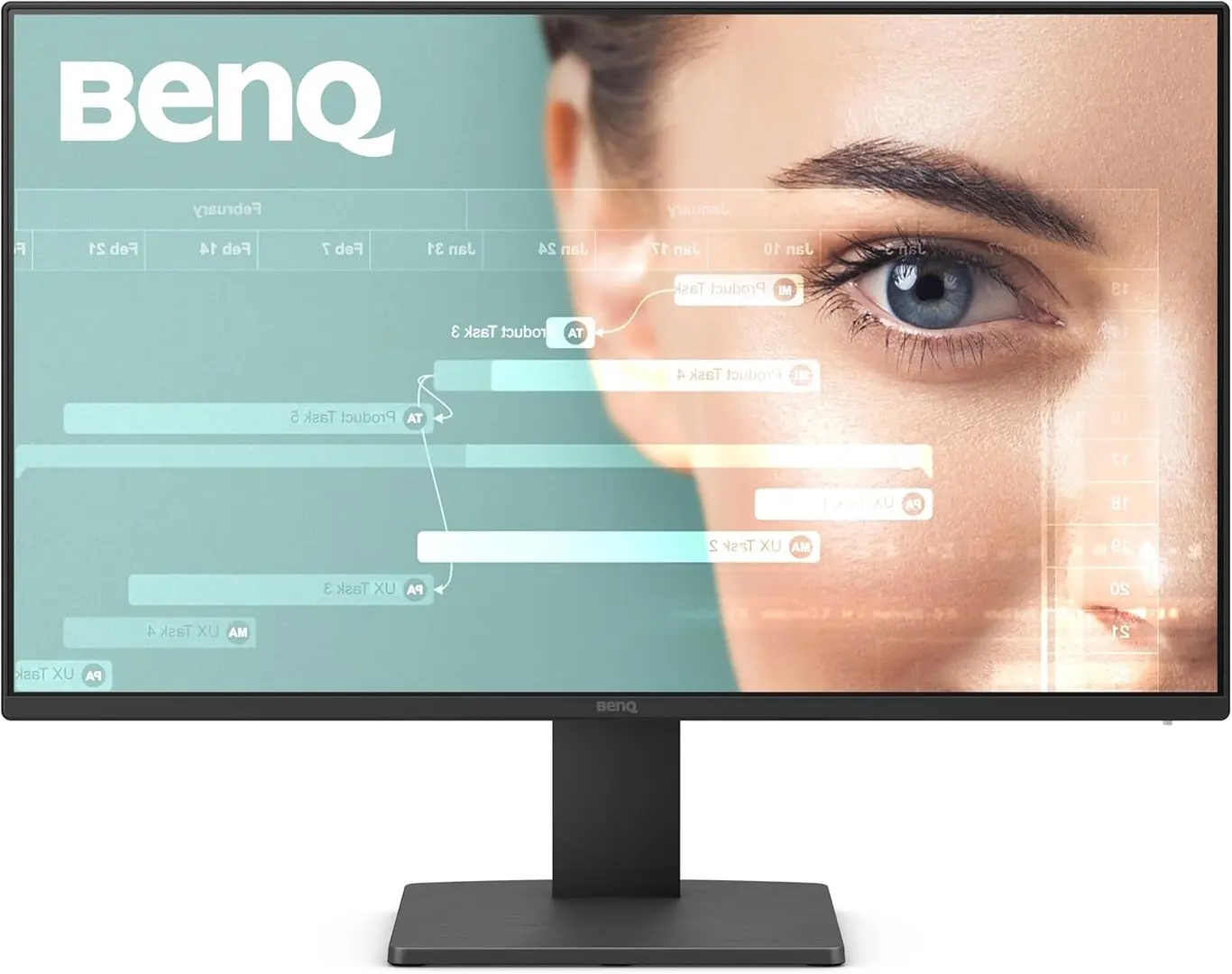 Monitor BenQ GW2491 (Black)