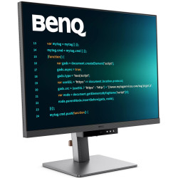 Monitor BenQ RD280U (Grey) Thumb