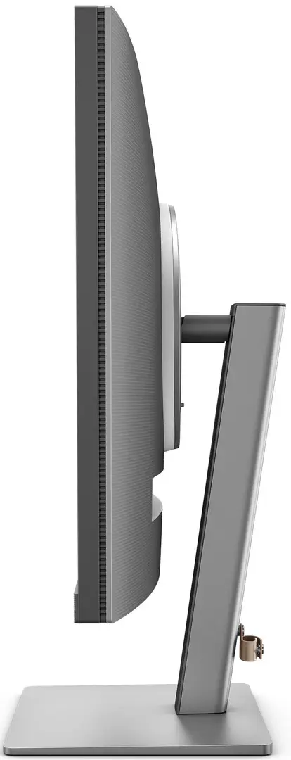 Monitor BenQ RD320U (Grey)