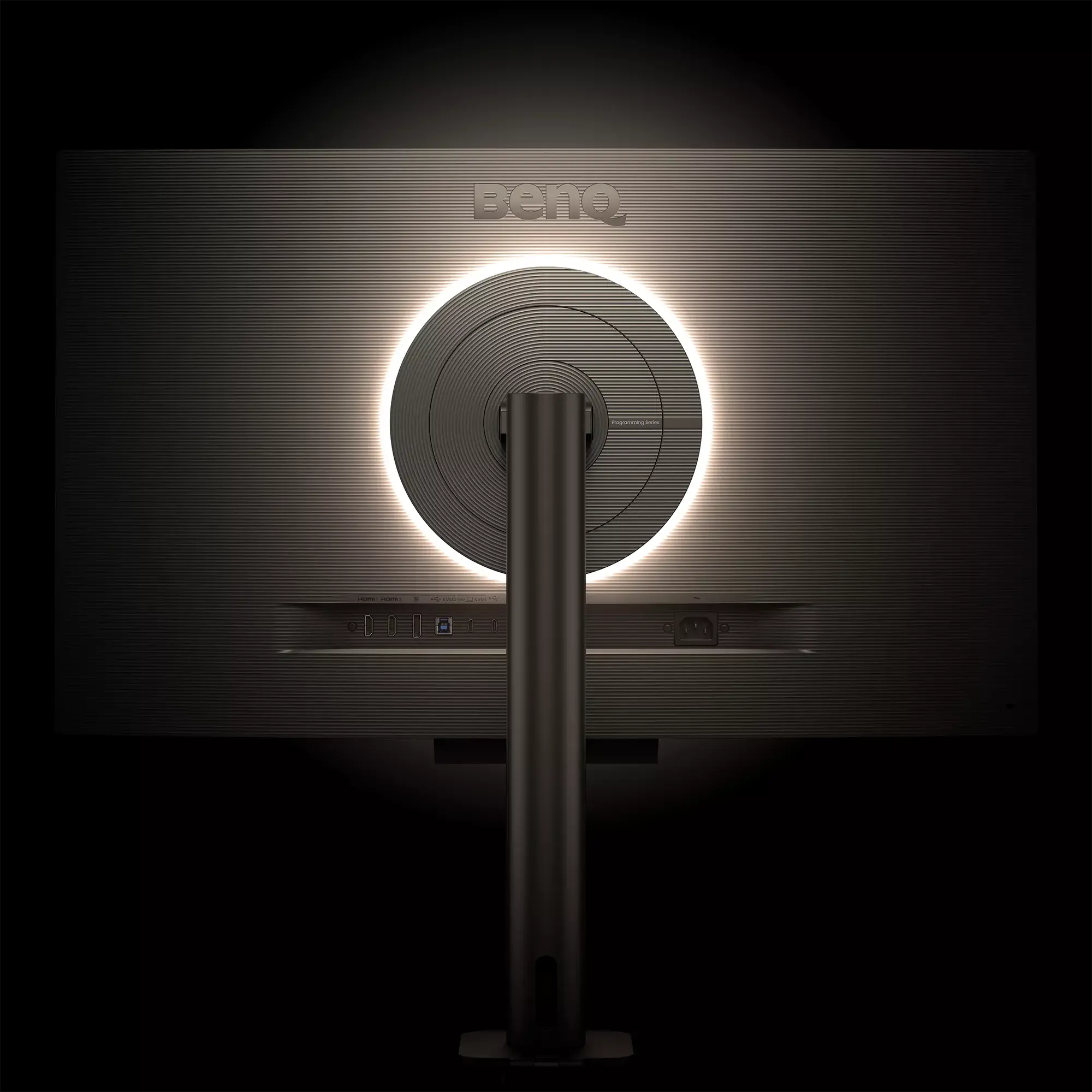 Monitor BenQ RD320UA (Grey)