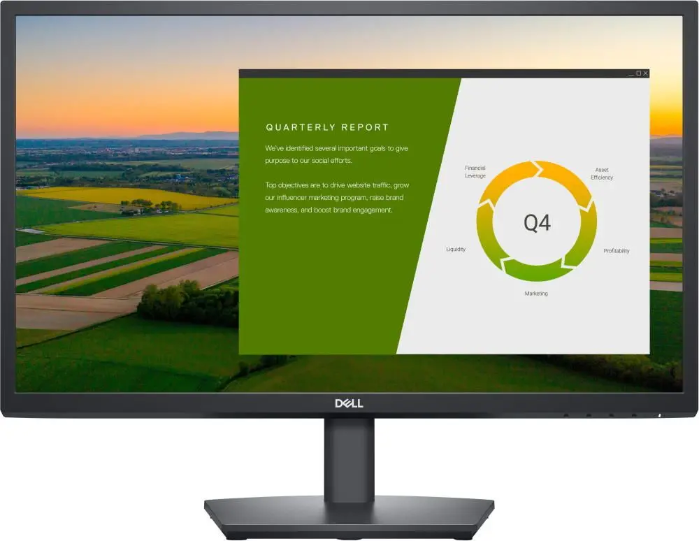 Monitor Dell E2422HS (Black)
