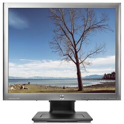 Монитор HP 19