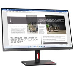 Монитор Lenovo ThinkVision S27i-30 (Storm Grey/Raven Black) Thumb
