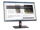 Monitor Lenovo ThinkVision S27i-30 (Storm Grey/Raven Black)