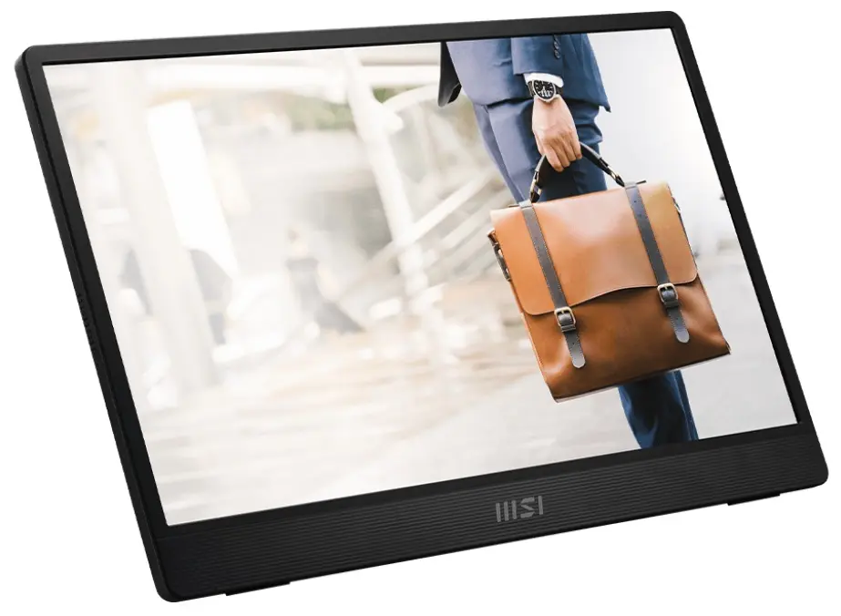 Monitor portabil MSI PRO MP161 E2U (Grey)