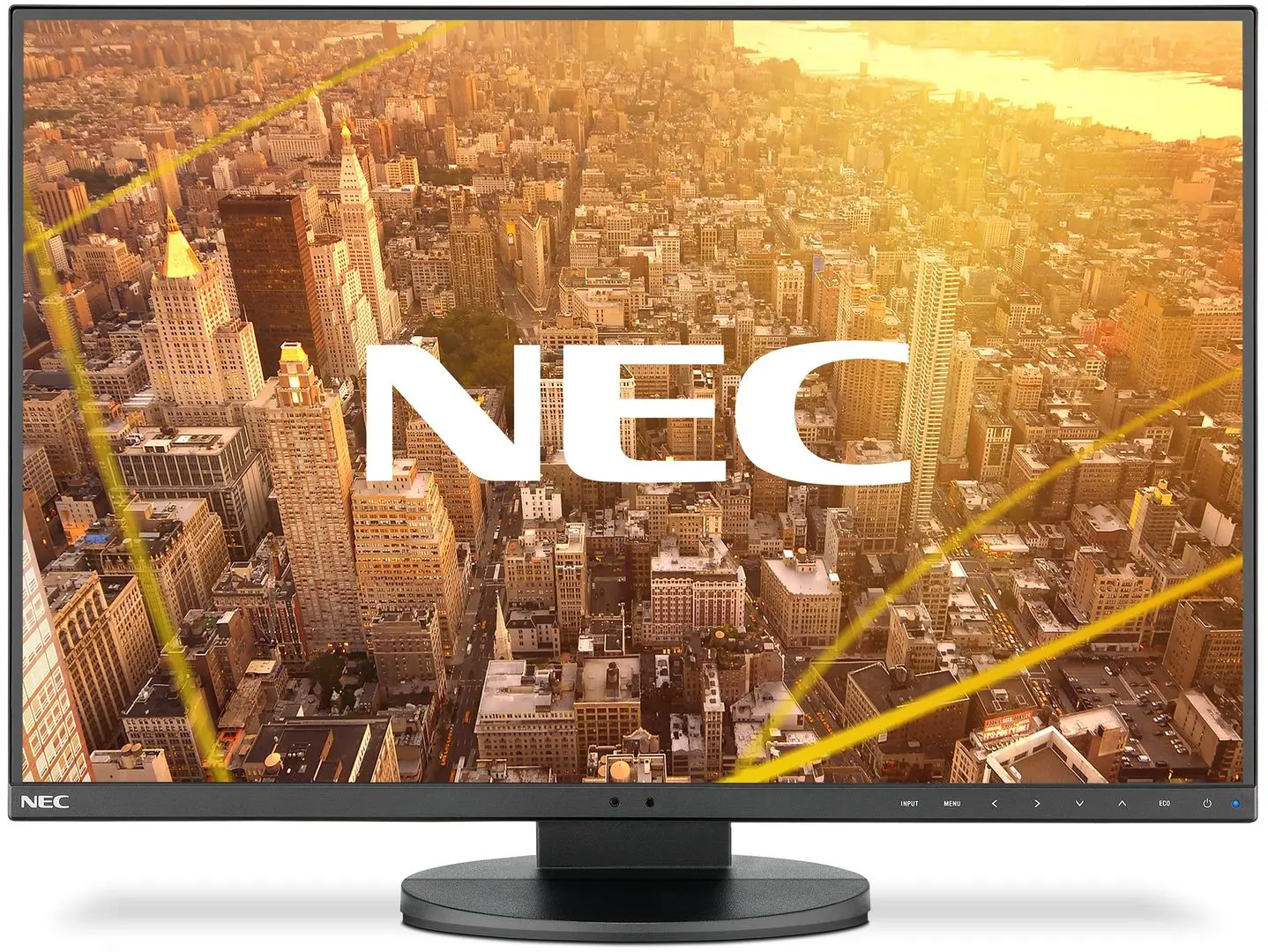 Монитор NEC MultiSync EA241F (Black)