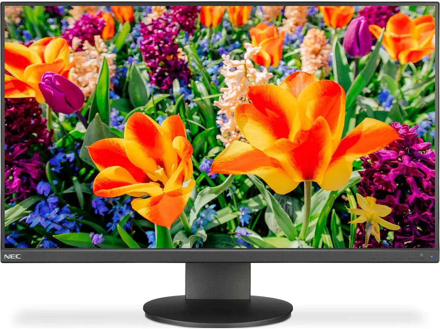 Монитор Nec 24