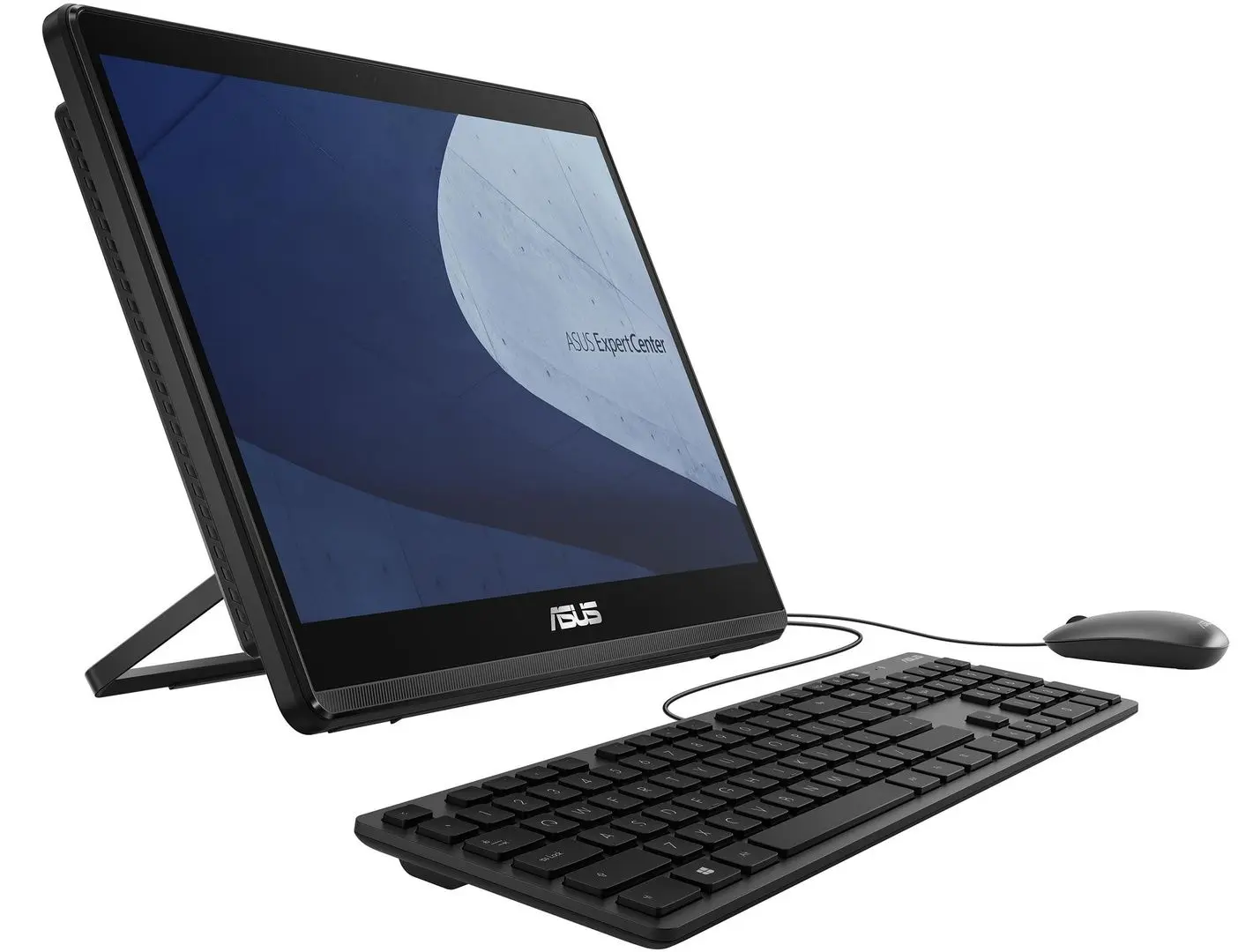 Моноблок Asus ExpertCenter E1600WKAT-BD039M Intel Celeron 8GB DDR4/256GB SSD (Black)