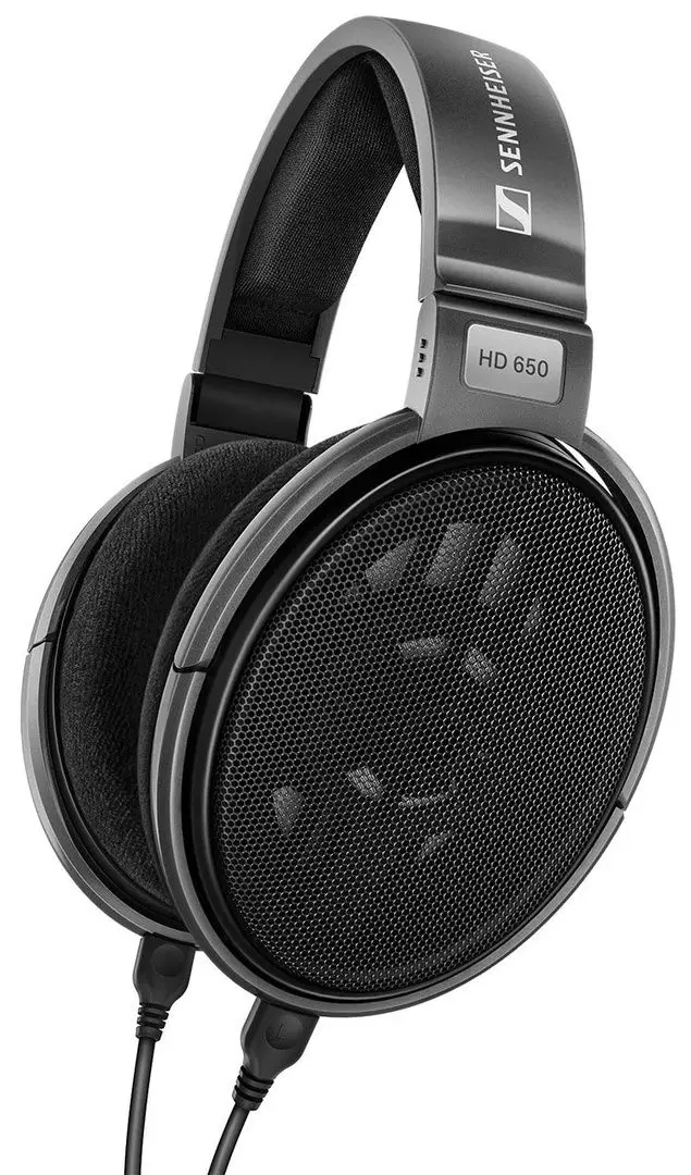 Наушники Sennheiser HD 650 (Titan)
