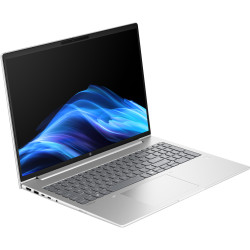Laptop HP ProBook 4 G1i Intel Core Ultra 7 255U 2x16GB DDR5/1TB (Pike Silver Aluminum) Thumb