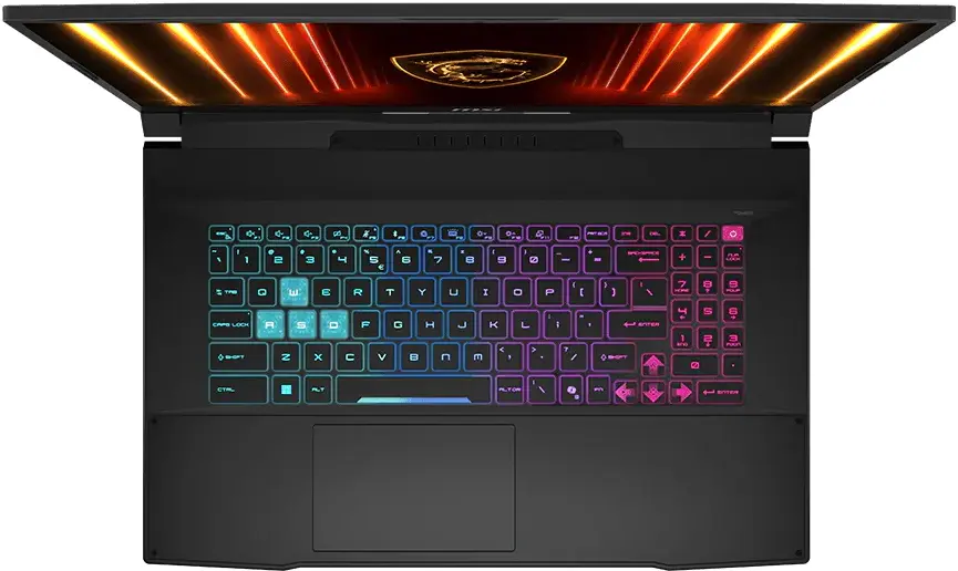 Laptop MSI Katana 17 HX B14W i7-14650HX 16GB/1TB FreeDos (Black) - 2