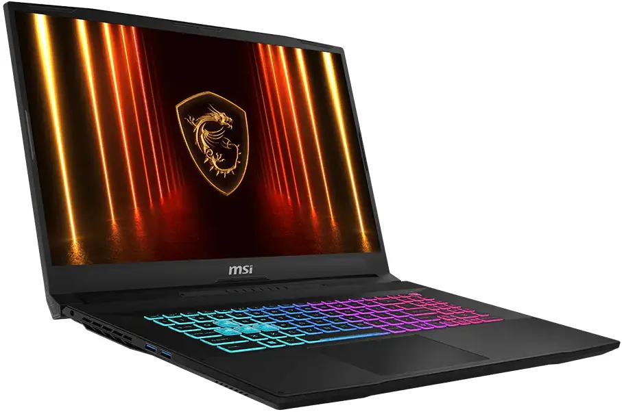 Laptop MSI Katana 17 HX B14W i7-14650HX 16GB/1TB FreeDos (Black) - 3