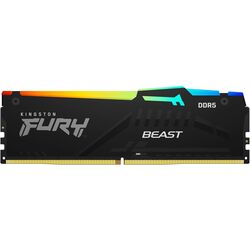 Оперативная память Kingston Fury Beast DDR5 RGB Expo 16GB 5600MHz CL36 (KF556C36BBEA-16)