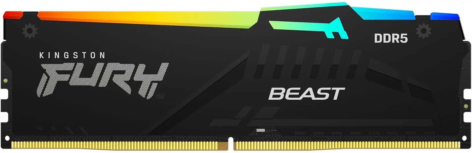 Оперативная память Kingston Fury Beast DDR5 RGB Expo 16GB 5600MHz CL36 (KF556C36BBEA-16)