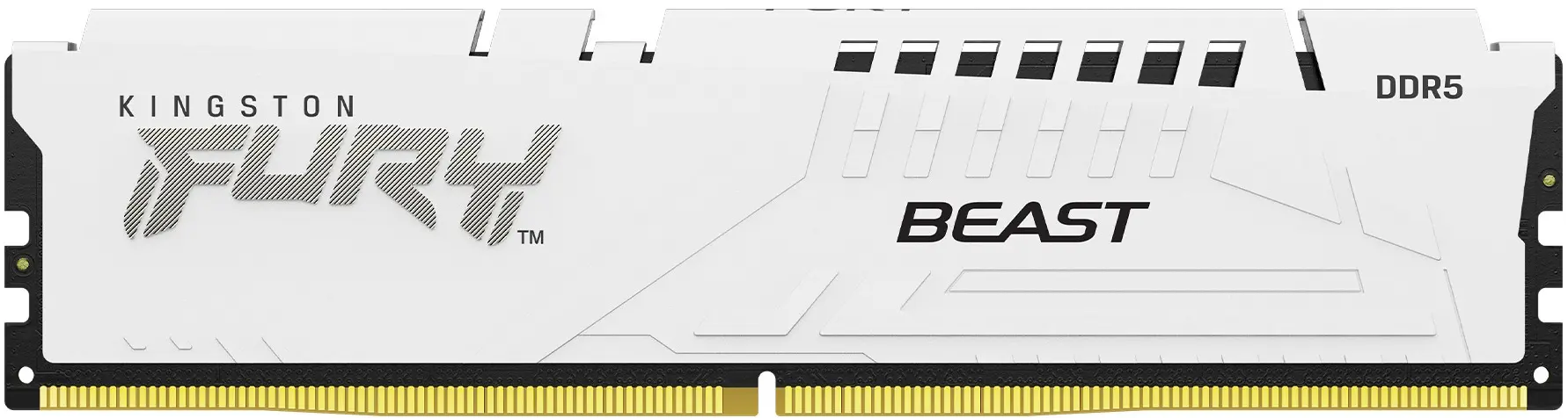 Memorie operativa Kingston Fury Beast DDR5 White Expo 32GB (2x16) 5600MHz CL36 (KF556C36BWEK2-32)