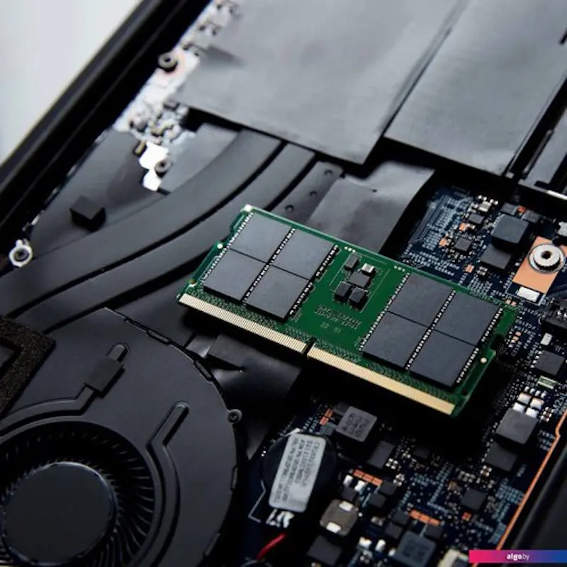 Оперативная память Kingston ValueRAM DDR5 48GB 5600MHz CL46 (KVR56S46BD8-48) - 3