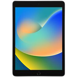 Планшет Apple iPad 10.2 2021 MK4E3FD/A Wi-Fi + Cellular 3GB/256GB (Space Grey)