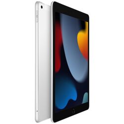 Планшет Apple iPad MK493RK/A WiFi + Cellular 3GB/64GB (Silver) Thumb
