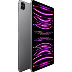 Планшет Apple iPad Pro MNYC3FD/A 11 2022 WiFi+5G 8GB/128GB (Space Grey) Thumb