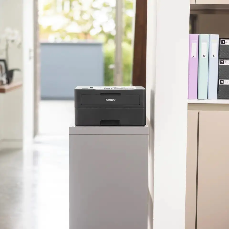 Imprimanta Brother HL-L2460DN (Black)