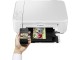 МФУ Canon Pixma MG3650S (White)