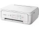 МФУ Canon Pixma TS5151 (White)