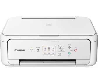 МФУ Canon Pixma TS5151 (White)