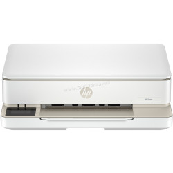 Multifunctional HP Envy 6120e (White/Gold)