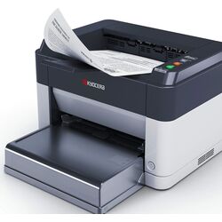 Imprimanta Kyocera FS-1061DN (White/Black) Thumb