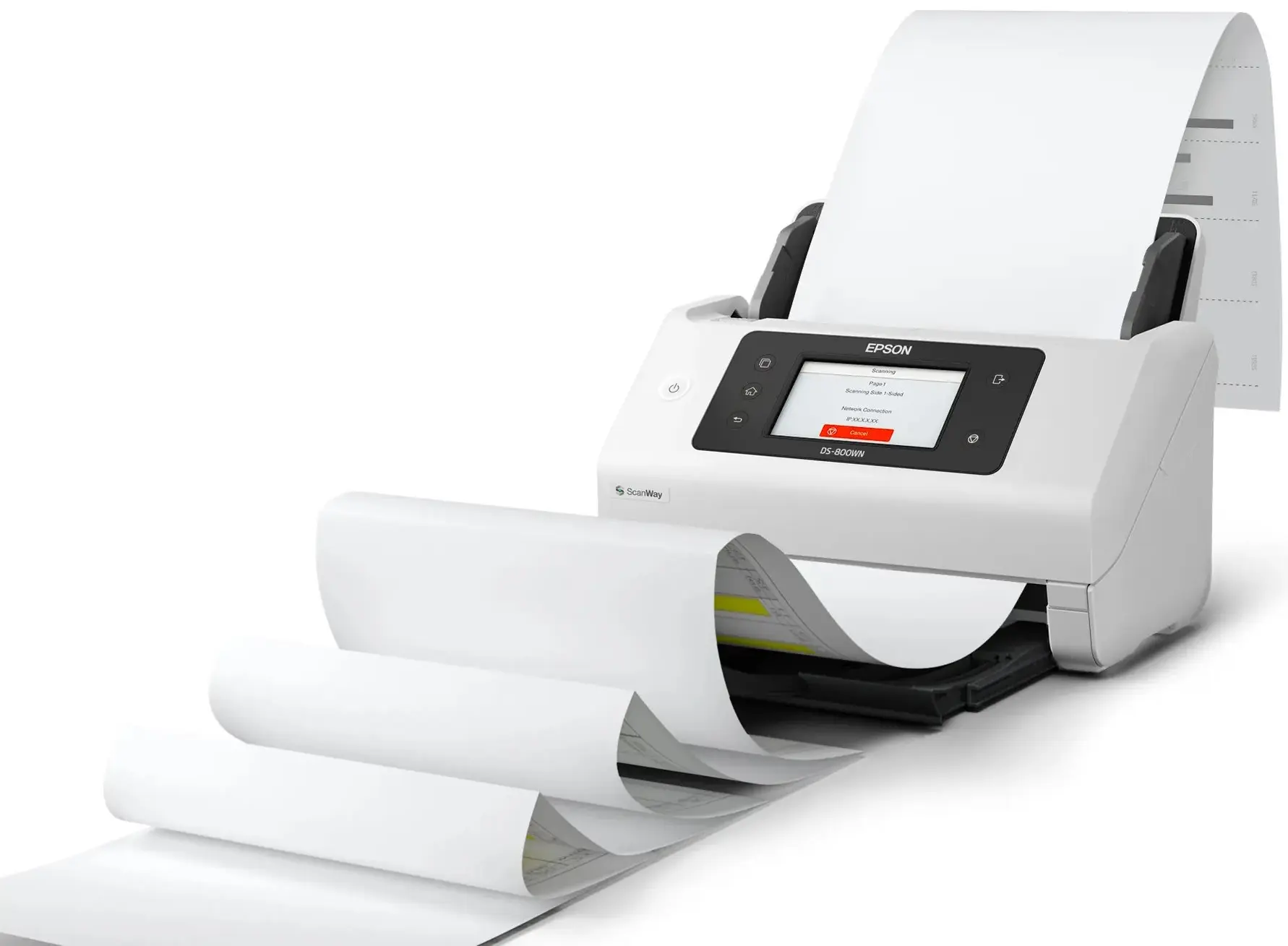 Scanner Epson WorkForce DS-800WN (White)