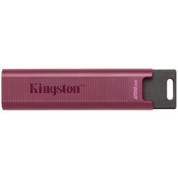 USB flash накопитель Kingston DataTraveler Max 3.2 256GB (Claret) Thumb