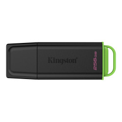 USB flash drive Kingston DataTraveler Exodia G2 256GB (Black/Green)