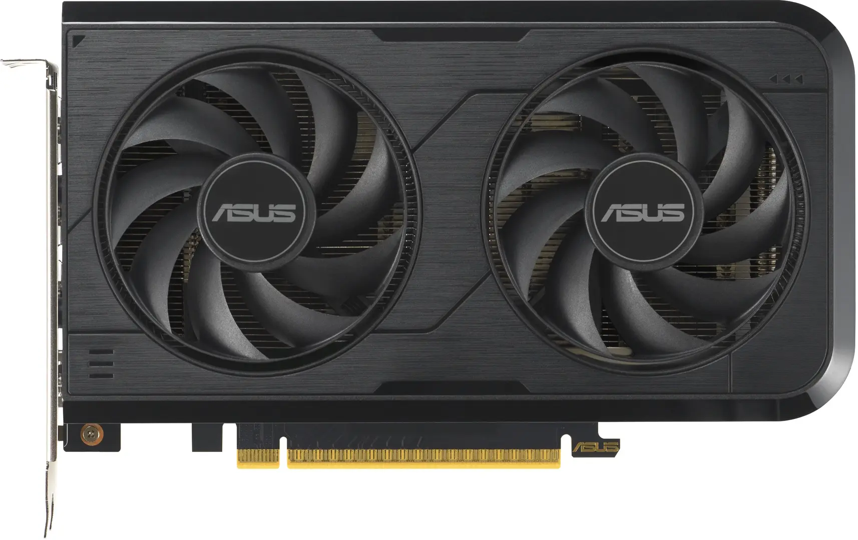 Placa video Asus Dual GeForce RTX 5050 8GB GDDR6 OC Edition (DUAL-RTX5050-O8G)