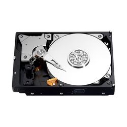 Hard disk Fujitsu SATA 1TB (S26361-F3951-L100) Thumb