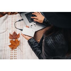 HDD extern Verbatim Store n Go 1TB (Silver) Thumb