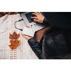 HDD extern Verbatim Store n Go 2TB (Silver) Thumb