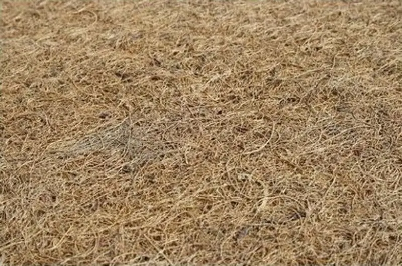 Saltea pentru copii BabyNeeds Cocos Confort II 140x70 (12cm) - 4