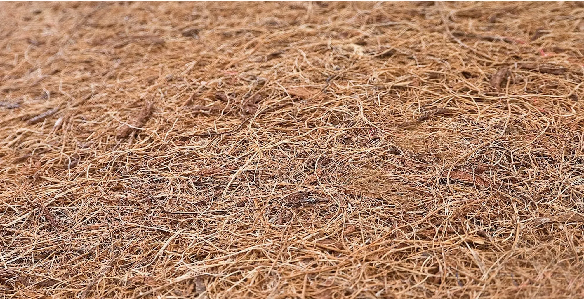 Детский матрас Sensillo Kokos-Pianka 120x60 (9см) - 4