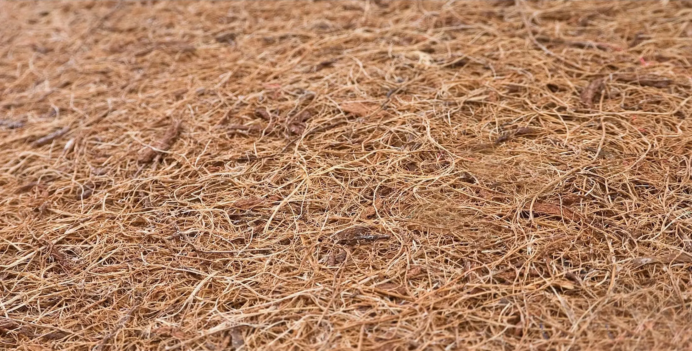 Детский матрас Sensillo Luxe Aloe Vera 120x60 (11см) - 6