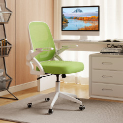 Fotoliu Costway CB10935LS (Green)